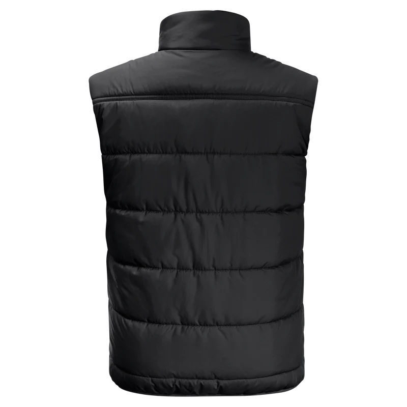 SPIRIT INS VEST Y
