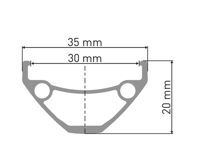 DT Swiss 26",Alu,sw,IS-6-b,SinglSp,135/10bolt on HR DT Swiss D 1900 Classic DB 26"/30mm
