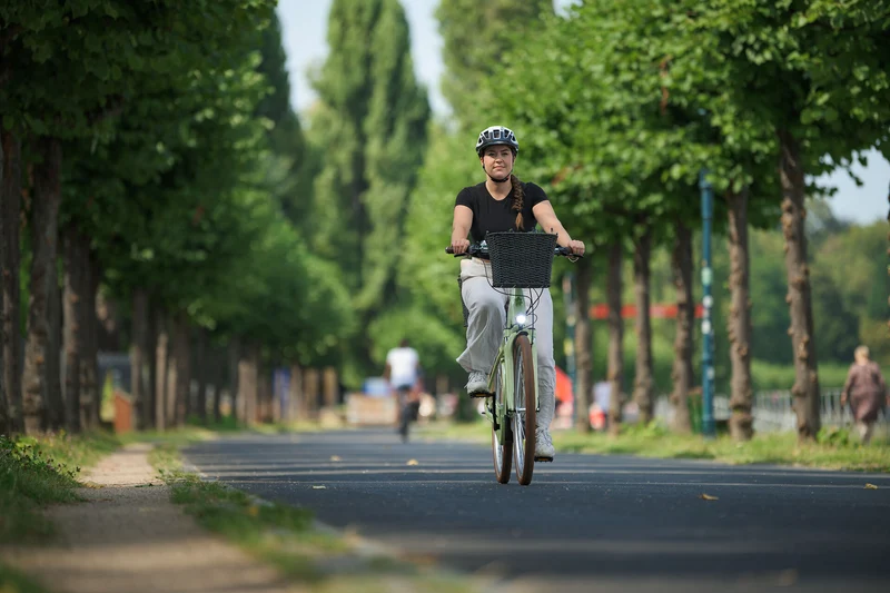 Cube Ella Hybrid 500 Wh E-Bike Easy Entry matchagreen´n´green