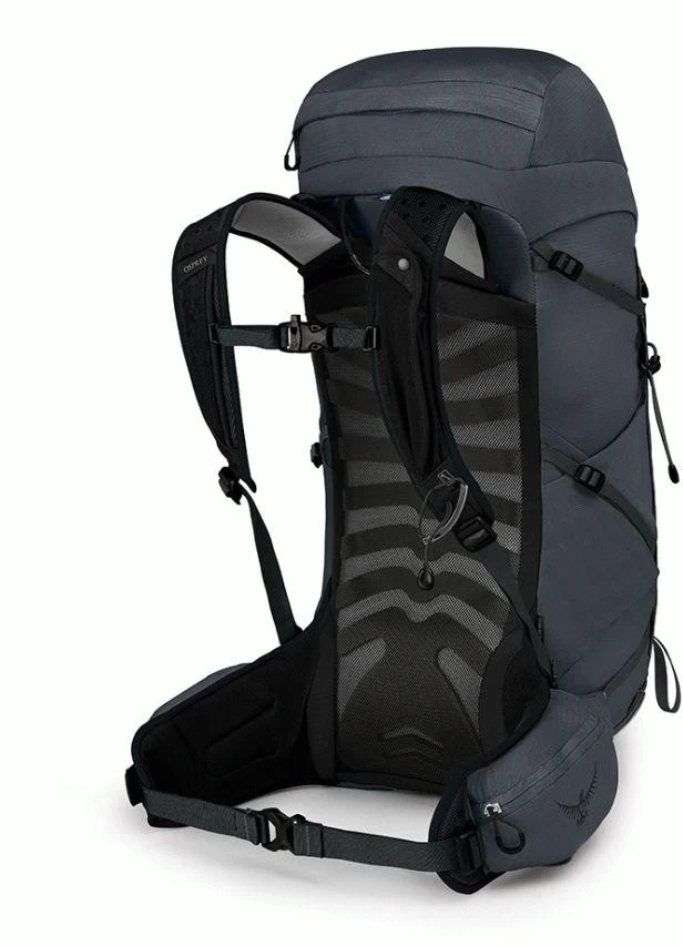 Talon 33