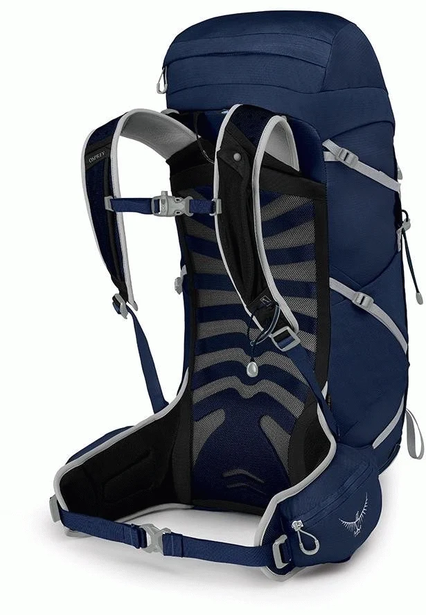 Talon 33