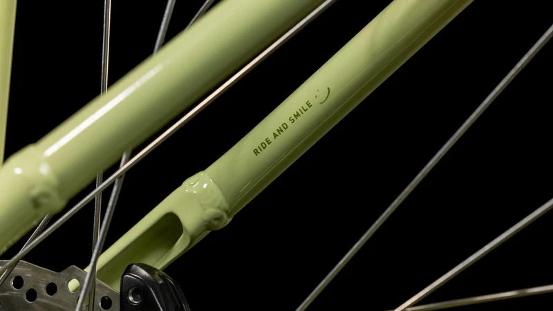 Cube Ella Hybrid 500 Wh E-Bike Easy Entry matchagreen´n´green