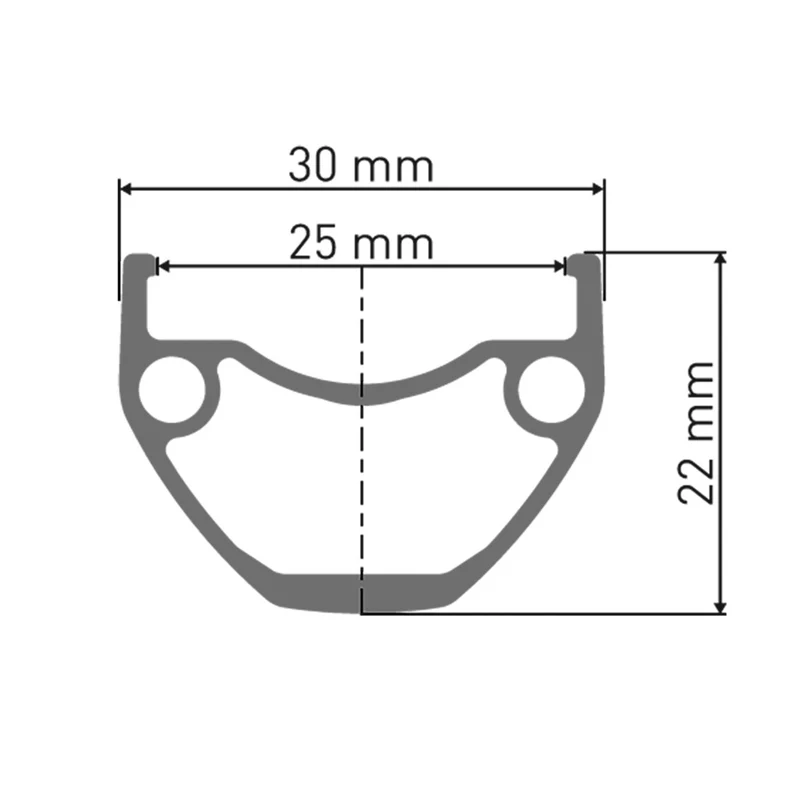 DT Swiss VR HU 1900 Spline DB 29"/25mm Alu, sz, Center Lock, 110/15mm TA Boost