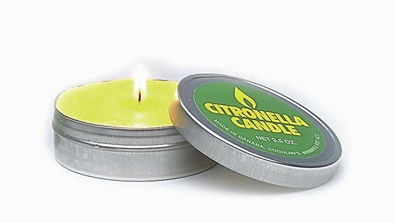 Citronella Kerze