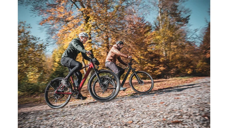 Coboc Iseo 360 Wh E-Bike Diamant rooftop red, gloss