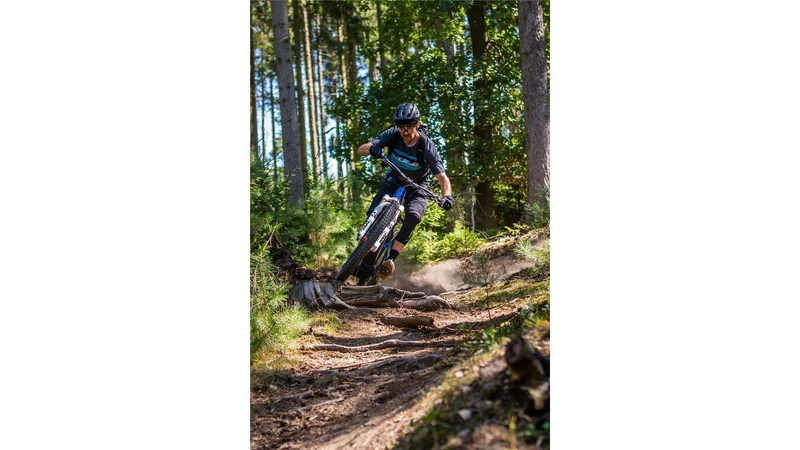 Cube Stereo Hybrid One44 HPC AT 800 Wh E-Bike Fully actionteam