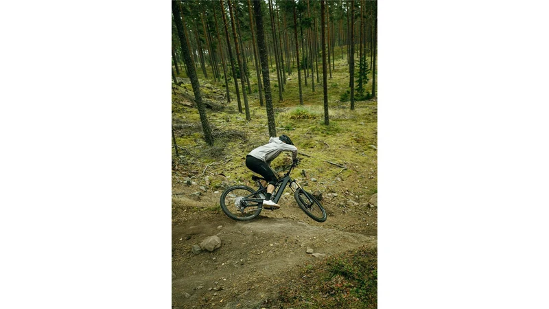 Cube Stereo Hybrid One77 HPC AT 800 Wh E-Bike Fully 29"/27,5" carbon´n´gold