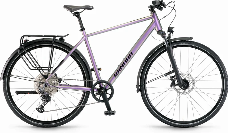 Winora Domingo 12 Pro Trekkingrad Diamant 28" chameleon