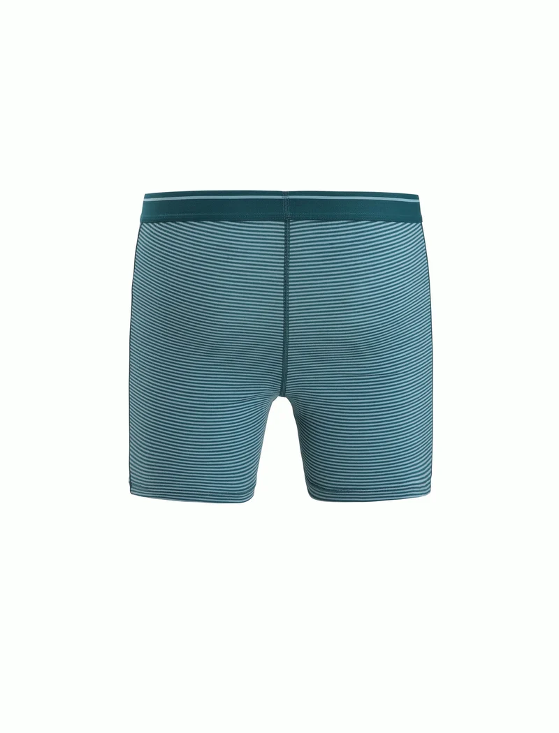 Men Merino 150 Anatomica Boxers