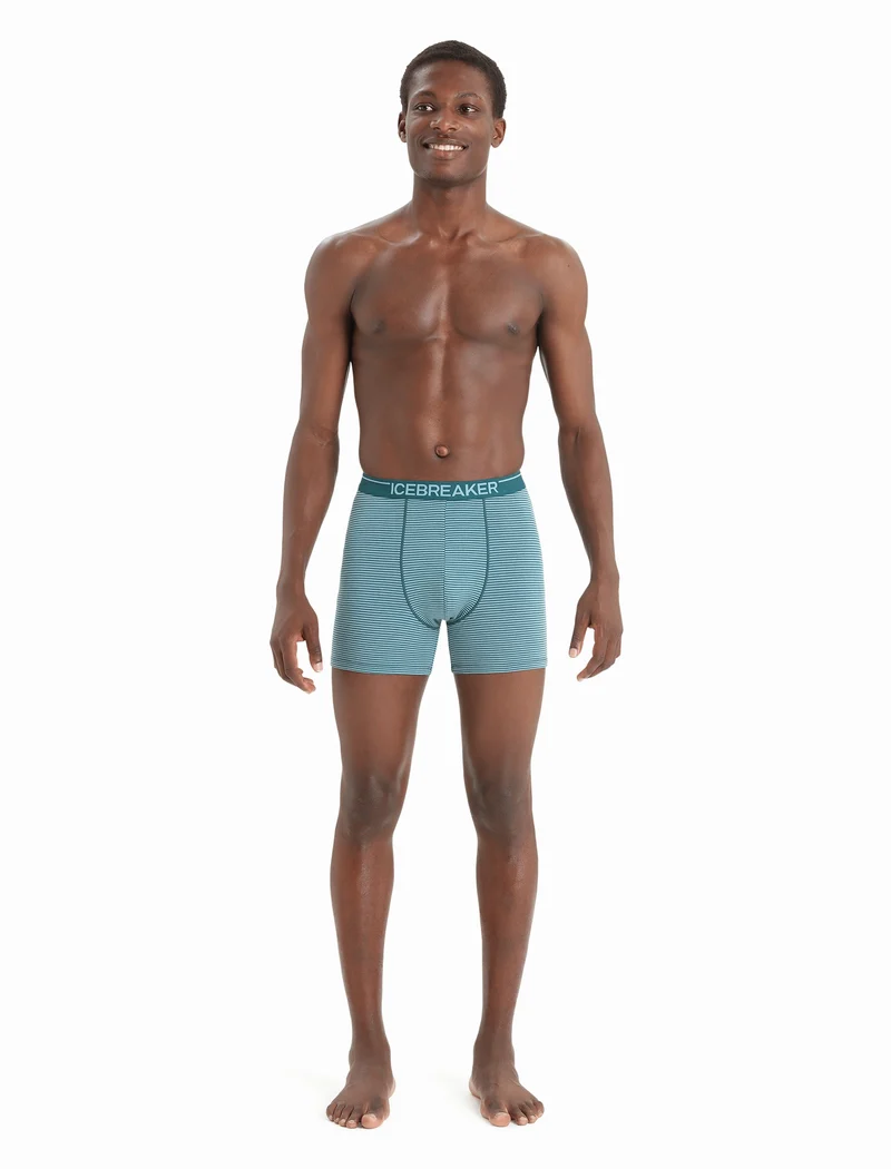 Men Merino 150 Anatomica Boxers