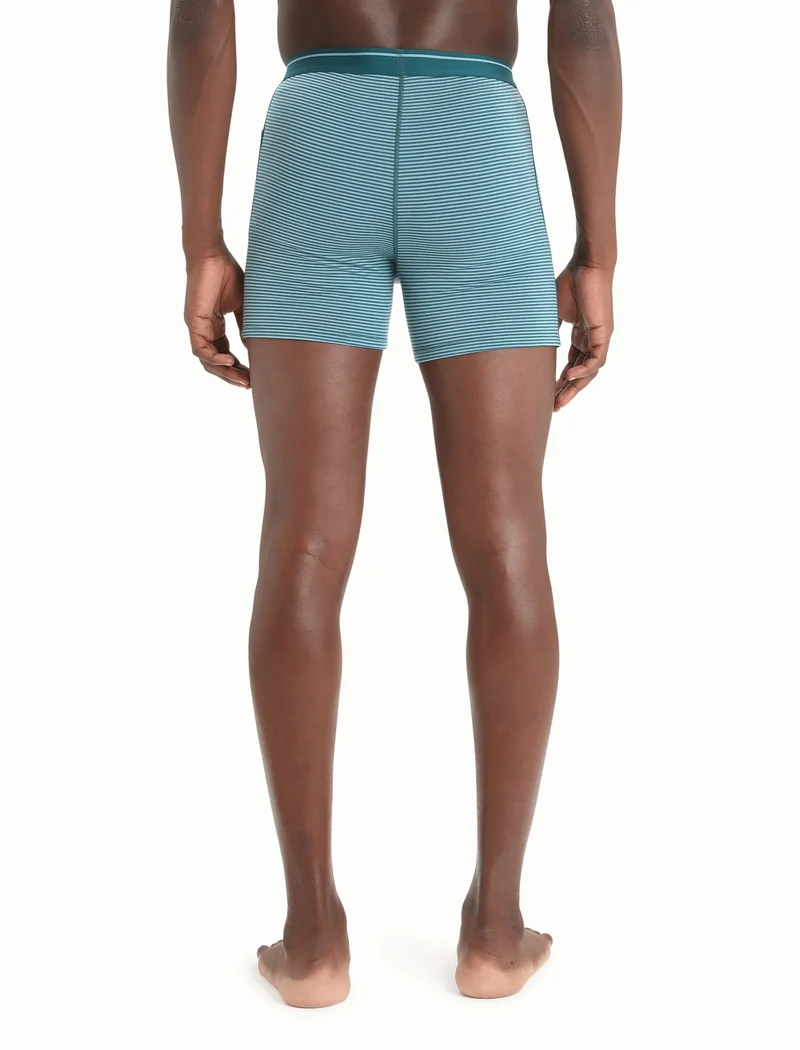 Men Merino 150 Anatomica Boxers