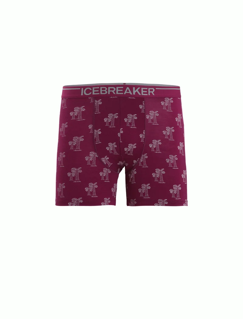 Men Merino 150 Anatomica Boxers