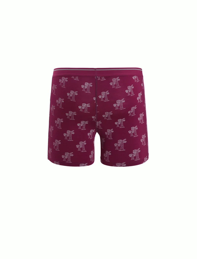 Men Merino 150 Anatomica Boxers