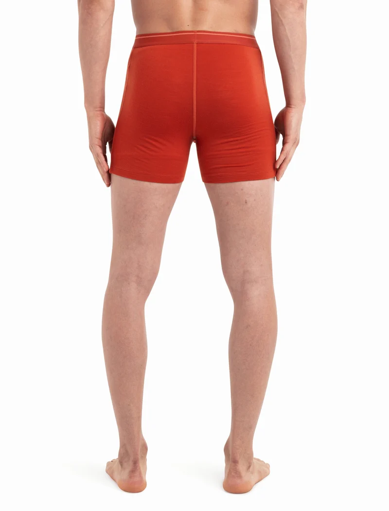 Men Merino 150 Anatomica Boxers
