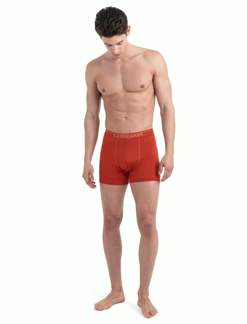 Men Merino 150 Anatomica Boxers