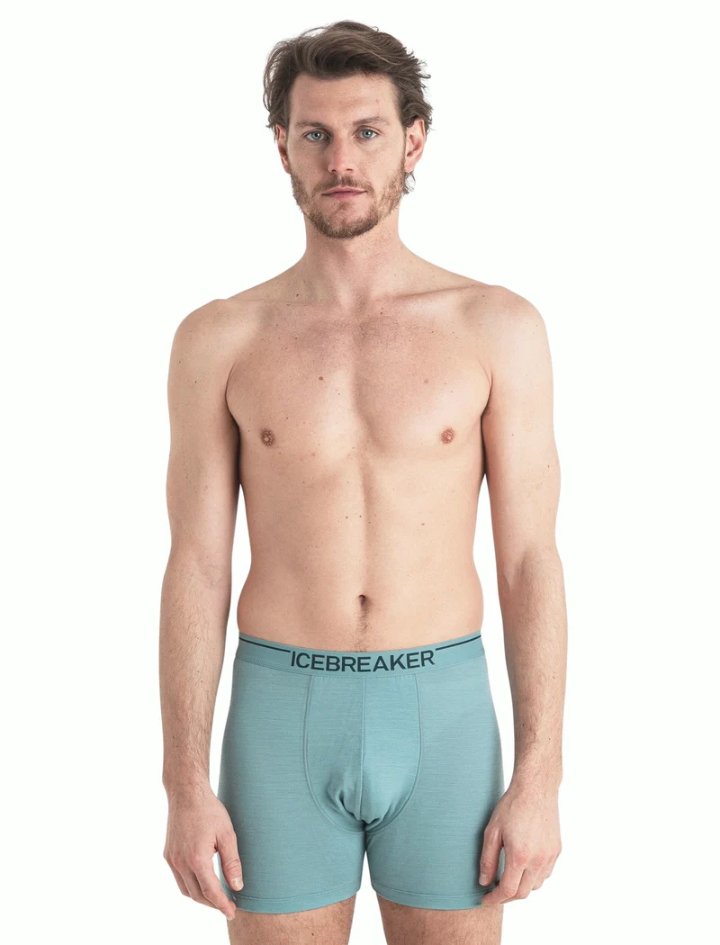 Men Merino 150 Anatomica Boxers