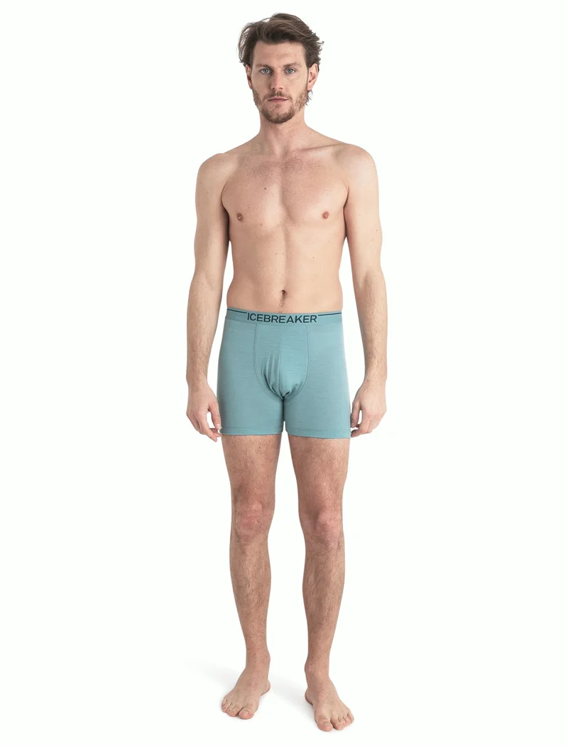Men Merino 150 Anatomica Boxers