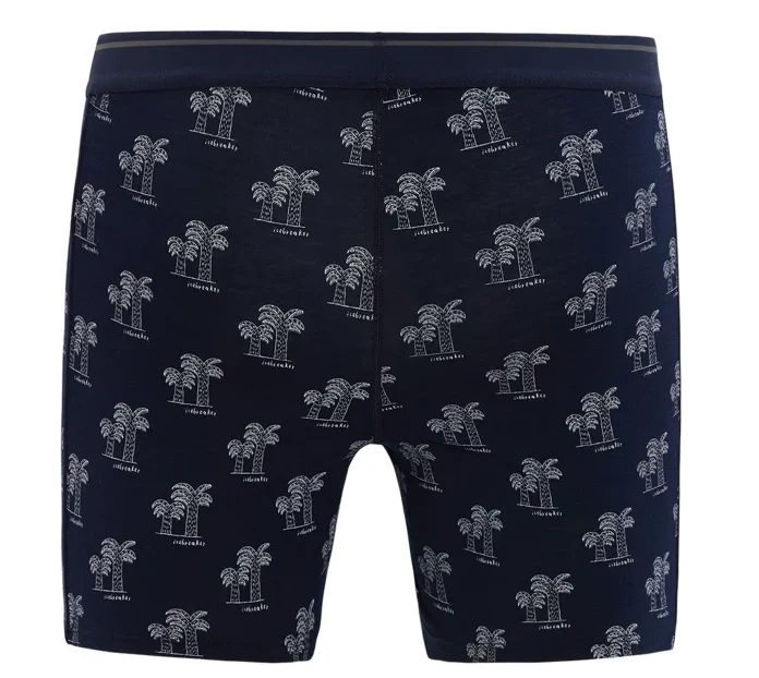 Men Merino 150 Anatomica Boxers