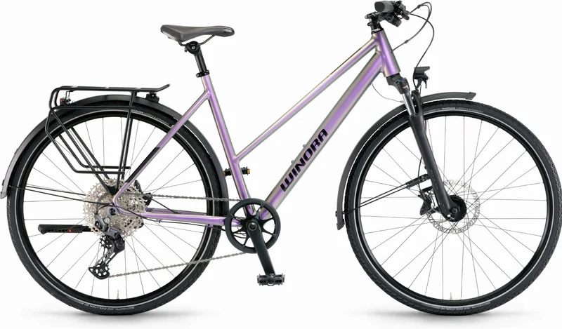 Winora Domingo 12 Pro Trekkingrad Trapez 28" chameleon