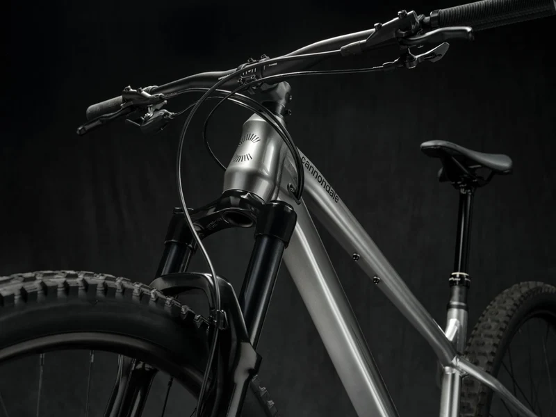Cannondale Habit HT 1 MTB-Hardtail 29" mercury