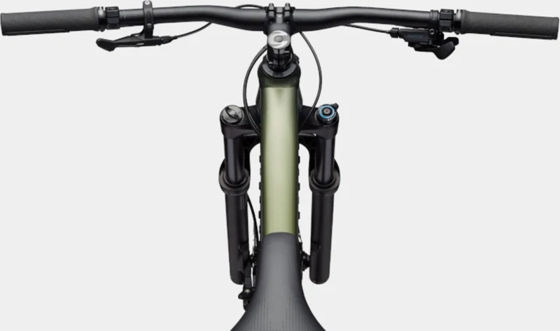 Cannondale Habit HT 2 MTB-Hardtail 29" mantis