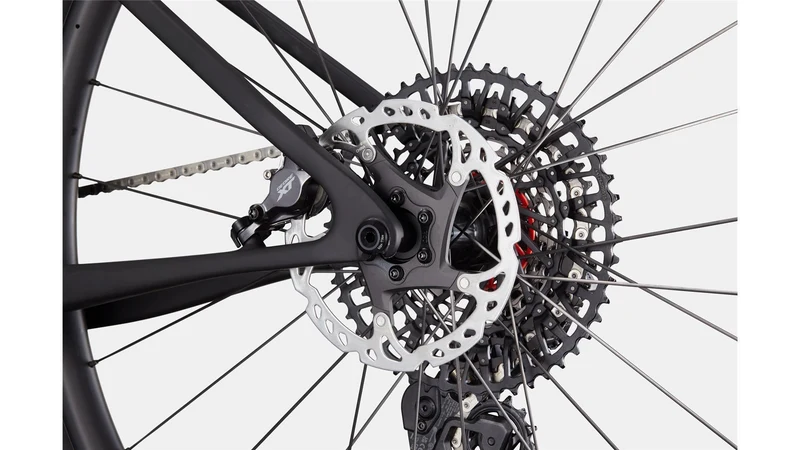 Cannondale Scalpel HT Carbon 1 MTB-Hardtail Diamant 29" matte black