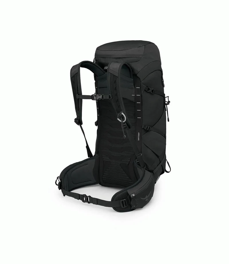 Talon 33
