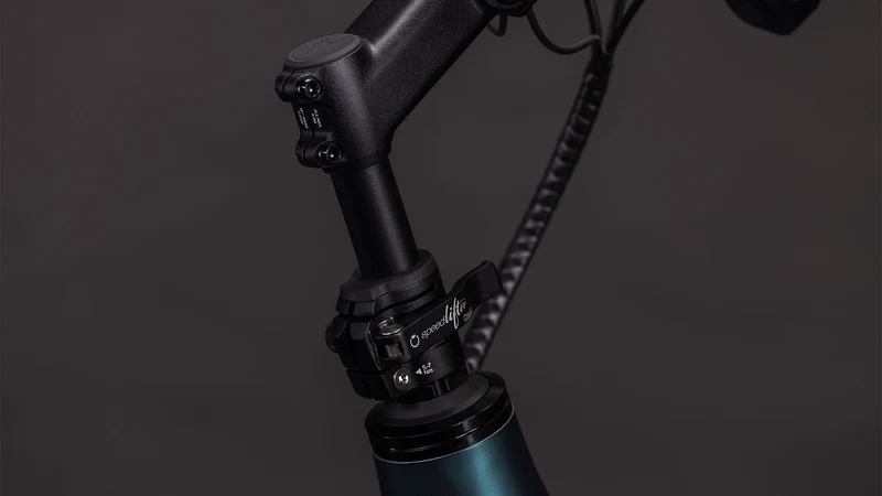 Cube Longtail Hybrid 800 Wh E-Lastenrad 26" royalgreen´n´black one size