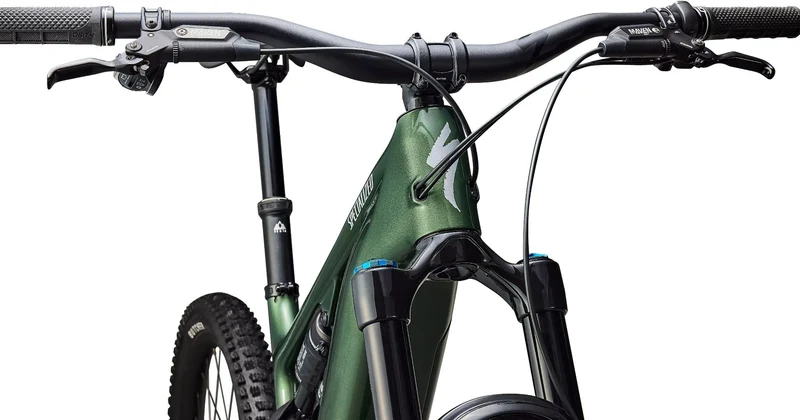 Specialized Levo Expert Carbon G4 NB 840 Wh E-Bike Fully 29"/27,5" Gloss Cypress Metallic/Silver Dust