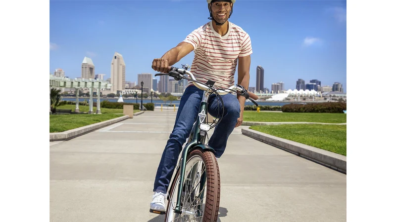 Electra Vale Go! 9D EQ 500 Wh E-Bike Wave 27,5" matte evergreen M