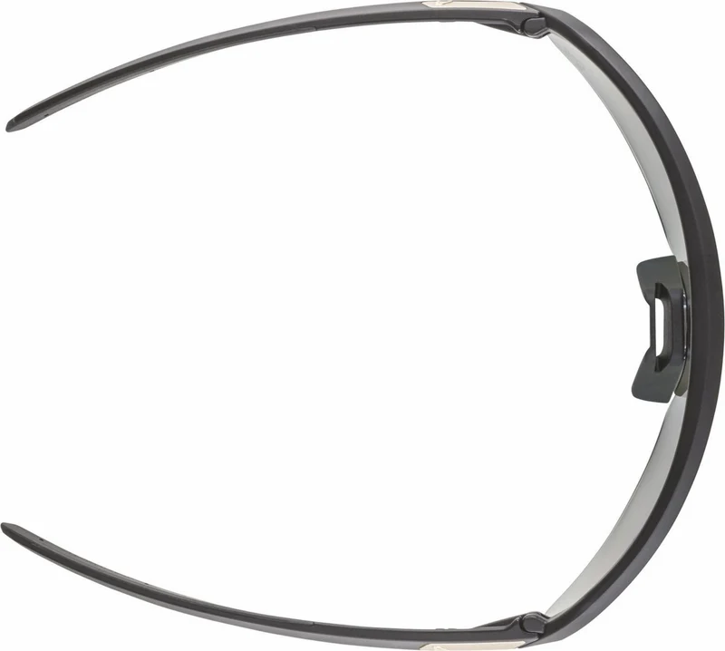 Alpina Turbo Pro S QV Sportbrille black matt/mirror rainbow one size