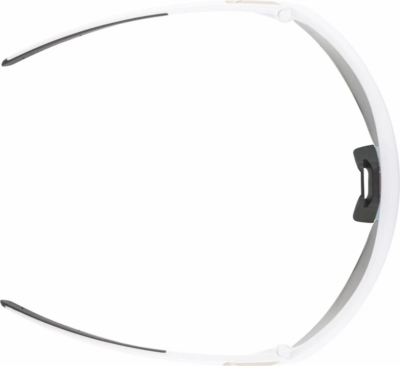 Alpina Turbo Pro QV Sportbrille white matt/mirror rainbow one size