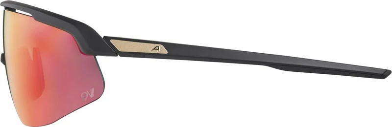 Alpina Turbo Pro QV Sportbrille black matt/mirror rainbow one size