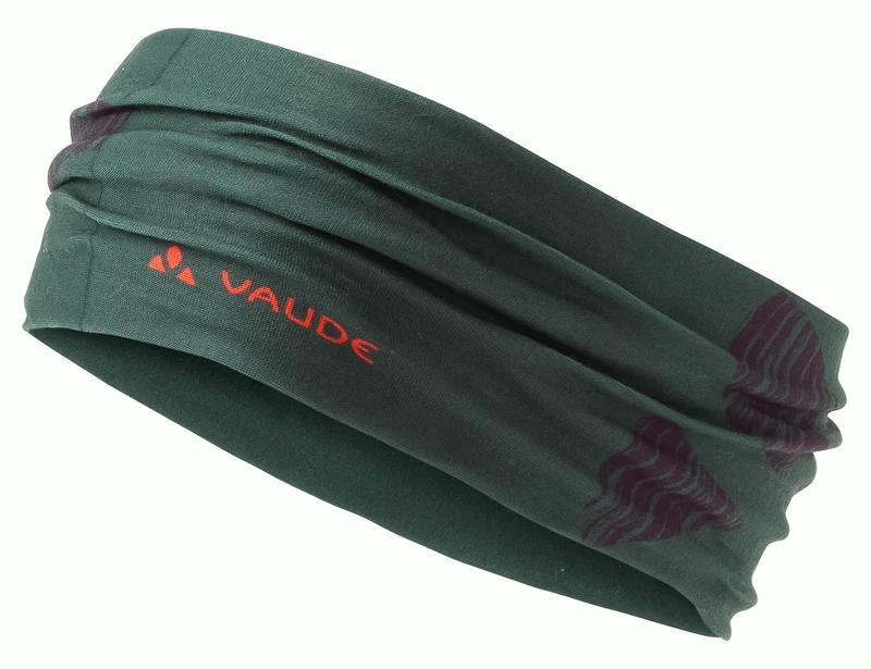 Cassons Headband