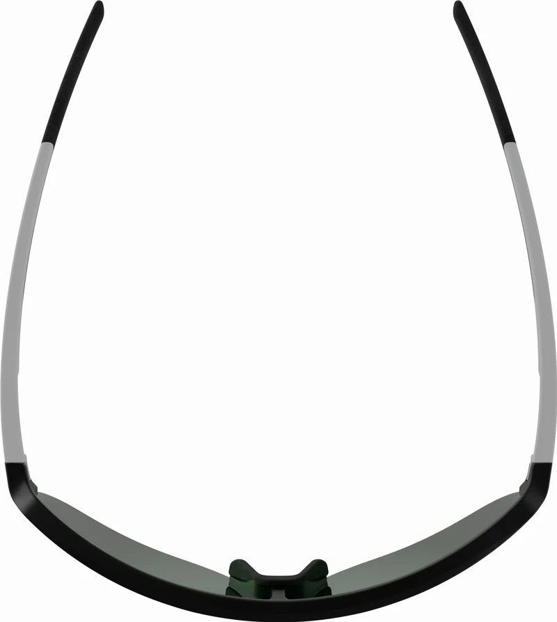 Alpina Ram 2.0 Q-Lite Sportbrille black-white matt/mirror green one size