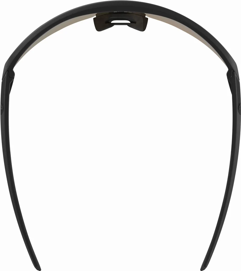 Alpina Turbo Pro S Q Sportbrille black/gold mirror one size