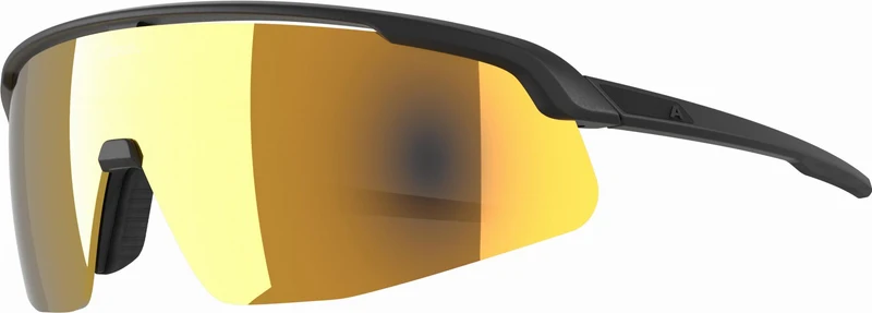 Alpina Turbo Pro S Q Sportbrille black/gold mirror one size