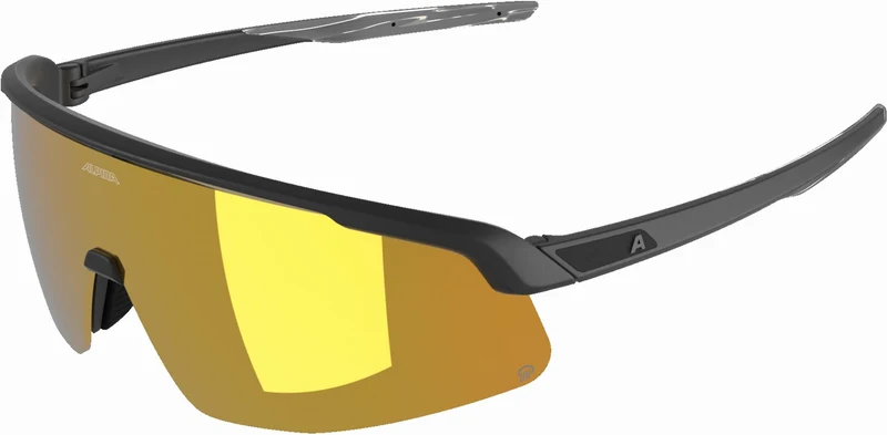 Alpina Turbo Pro Q Sportbrille black/gold mirror one size