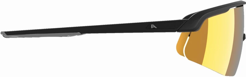 Alpina Turbo Pro Q Sportbrille black/gold mirror one size