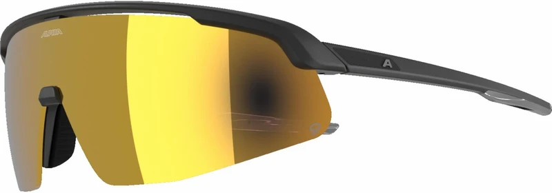 Alpina Turbo Pro Q Sportbrille black/gold mirror one size