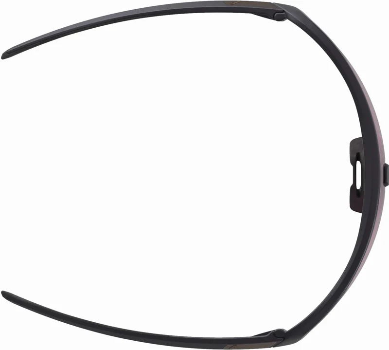 Alpina Turbo Pro Q-Lite Sportbrille gun matt/pink one size