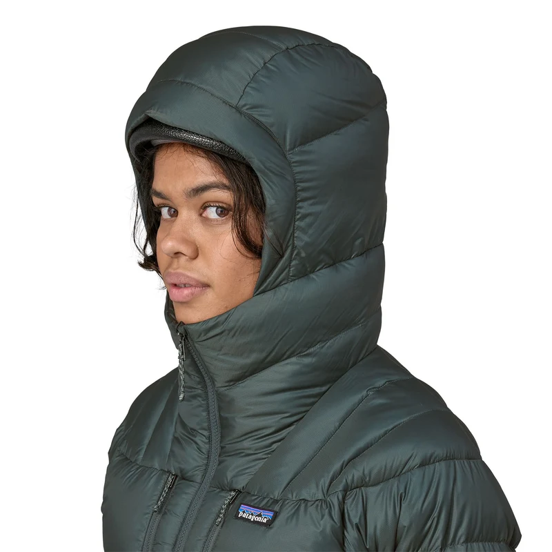 W's Fitz Roy Down Hoody