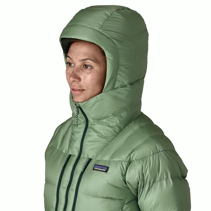 W's Fitz Roy Down Hoody