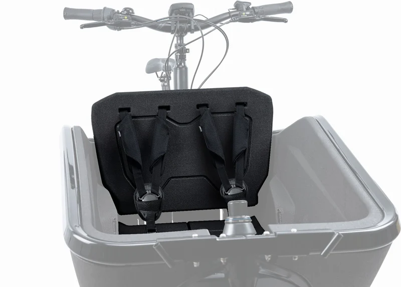 Cube Sitzbank Cargo 2.0 black