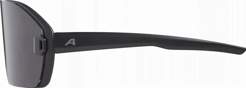 Alpina Bonfire Mag Sportbrille black matt/quattroflex+ black one size