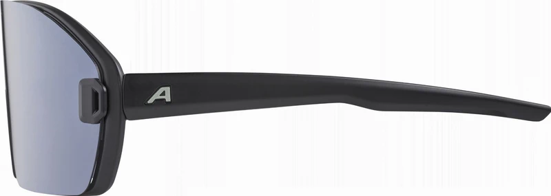 Alpina Bonfire Mag Sportbrille black-green matt/quattroflex+ black one size