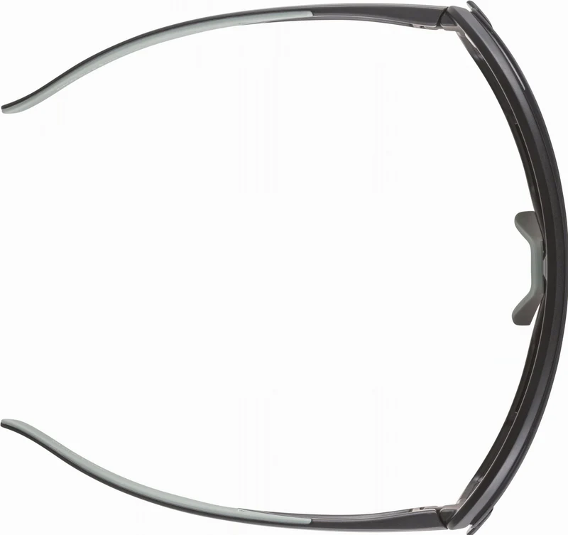 Alpina Bonfire Mag Sportbrille black-green matt/quattroflex+ black one size