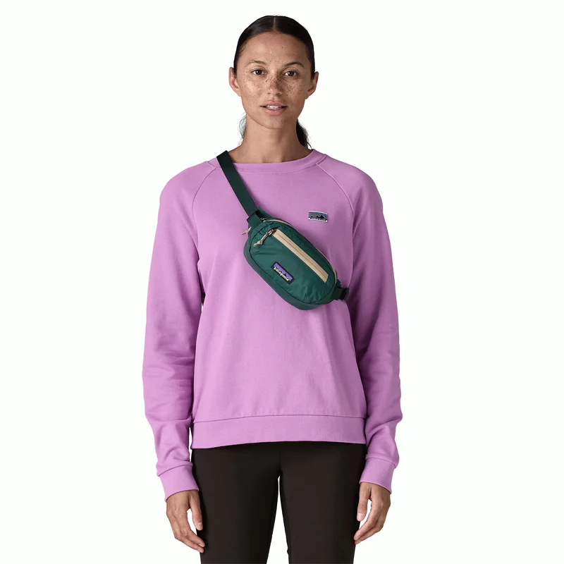 Terravia Mini Hip Pack