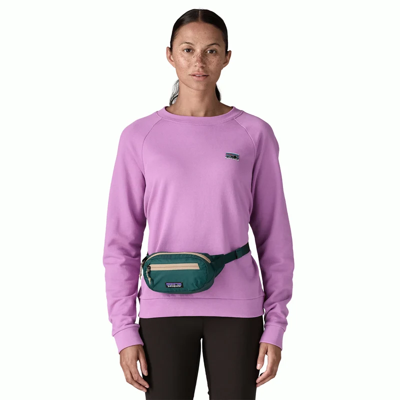 Terravia Mini Hip Pack