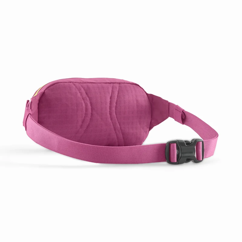 Terravia Mini Hip Pack